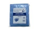 BAG BLUE CARTON LINNER 640X640X390