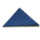 NAPKIN 2 PLY DINNER DARK BLUE CTN1000 370558 