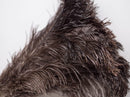 FEATHER DUSTER MEDIUM 